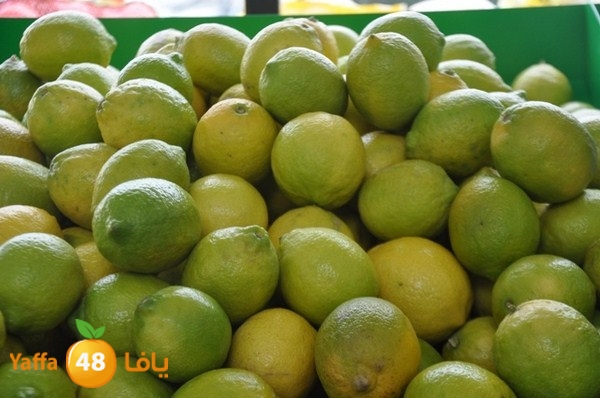 souq yaffa 0123 (9).JPG